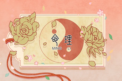 农历日历 今日日历表 日历2026全年农历表